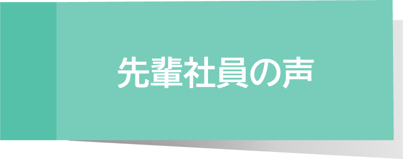 先輩社員の声